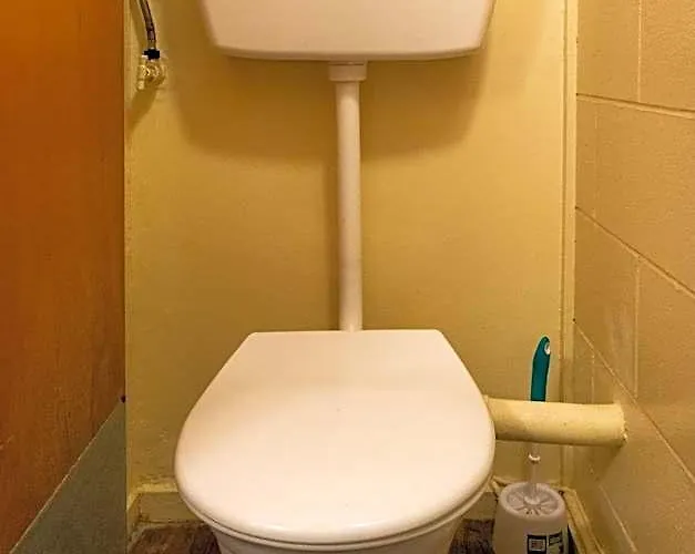 아린 코트